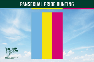 Pansexual Pride Bunting