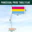 Pansexual pride table flag with measurements and Flags Ireland logo.