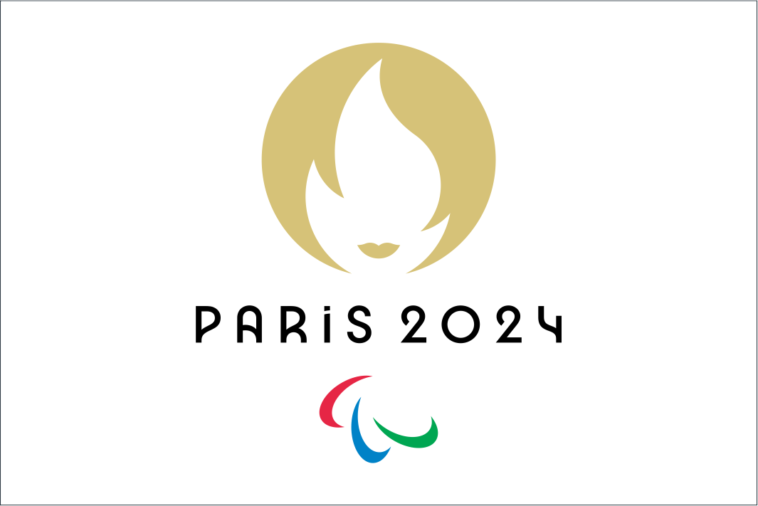 Paris Paralympic Logo Flag