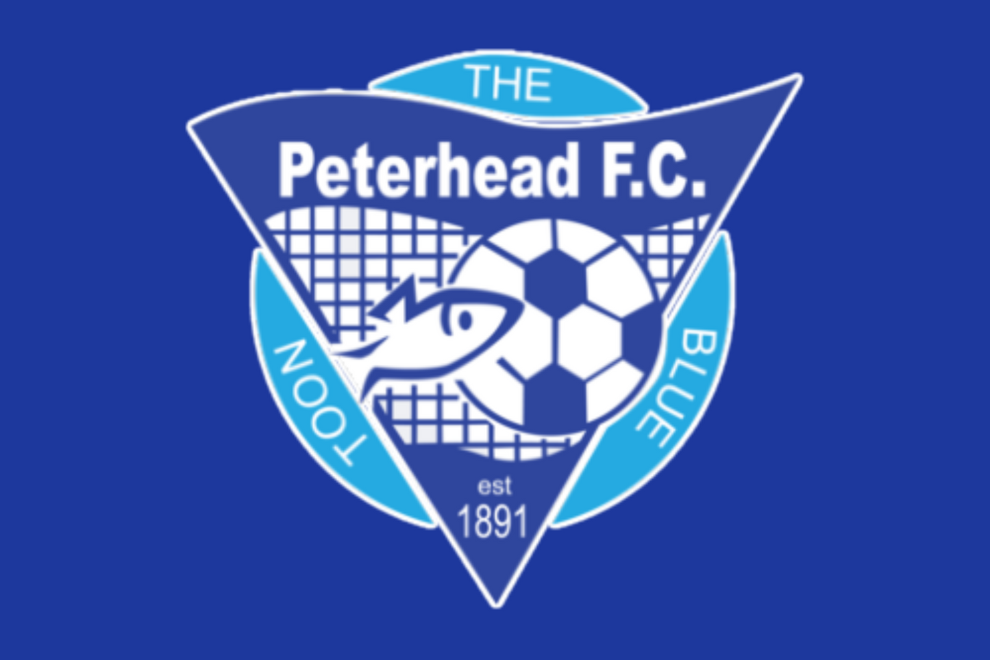 Peterhead Football Club Flag