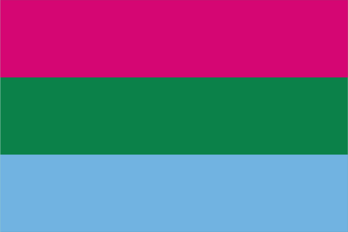 Polysexual Pride Flag – High-Quality Irish-Made LGBTQ+ Flag | Flags ...
