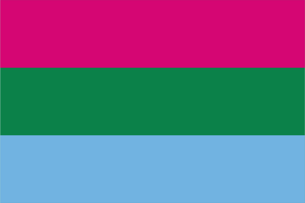 Polysexual Pride Flag – High-Quality Irish-Made LGBTQ+ Flag | Flags ...