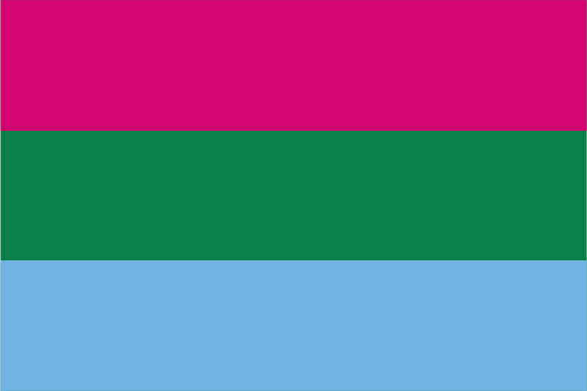 Polysexual Pride Flag – High-Quality Irish-Made LGBTQ+ Flag | Flags ...