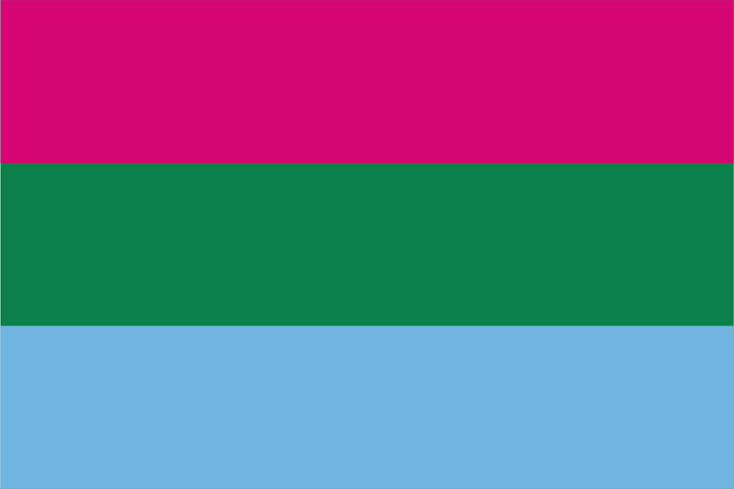 Polysexual Pride Handwaver Flag