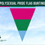 Polysexual pride flag bunting with a clear sky background and 'Flags Ireland' logo.