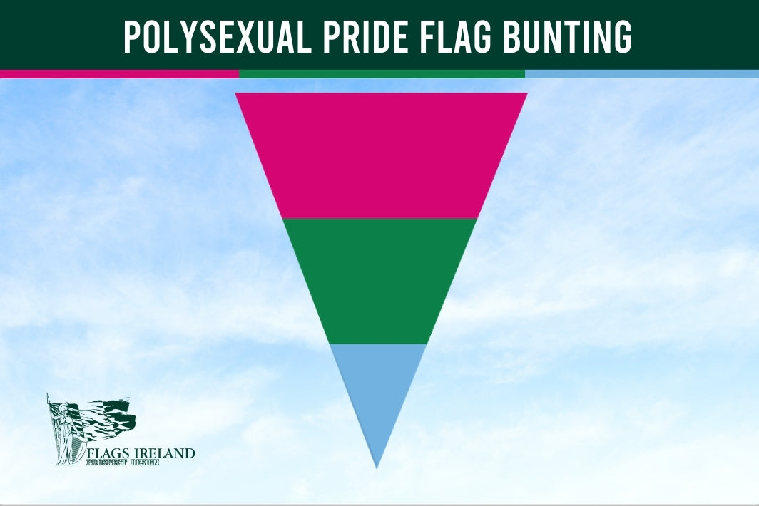 Polysexual pride flag bunting with a clear sky background and 'Flags Ireland' logo.