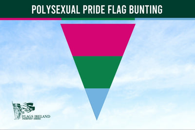 Polysexual pride flag bunting with a clear sky background and 'Flags Ireland' logo.