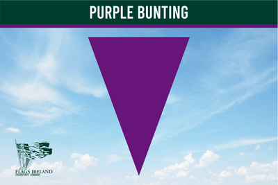 Purple Colour Bunting