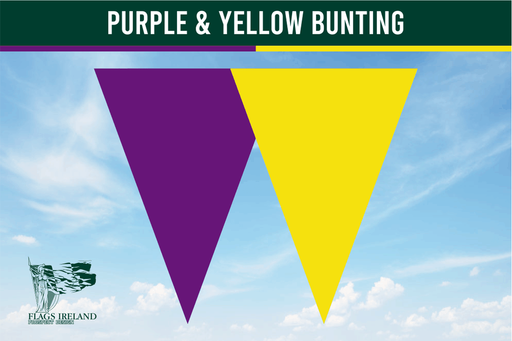 Purple & Yellow Colour Bunting