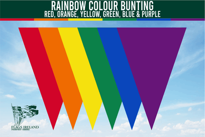 "Rainbow Plain Colour Bunting featuring bold triangular pennants in the six traditional Pride colours: red, orange, yellow, green, blue, and purple. High-quality, noise-free polyester bunting, perfect for festivals, parades, and Pride celebrations. Made in Ireland for indoor and outdoor use."