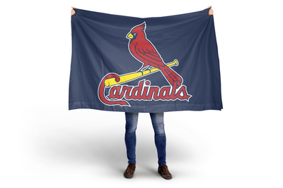 Person holding  a St. Louis Cardinals Flag