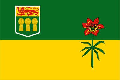 The Saskatchewan Flag. The provincial flag of Saskatchewan was adopted in 1969. Its upper half is green and contains the coat of arms of Saskatchewan, and its lower half is yellow. In the fly of the flag is a western red lily, the provincial flower. In 2017, The Minister of Parks, Culture and Sports designated 22 September as Saskatchewan Flag Day.