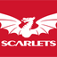 White dragon logo with 'Scarlets' text on a red background