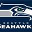 Seattle Seahawks Flag