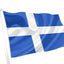 Shetland County Flag