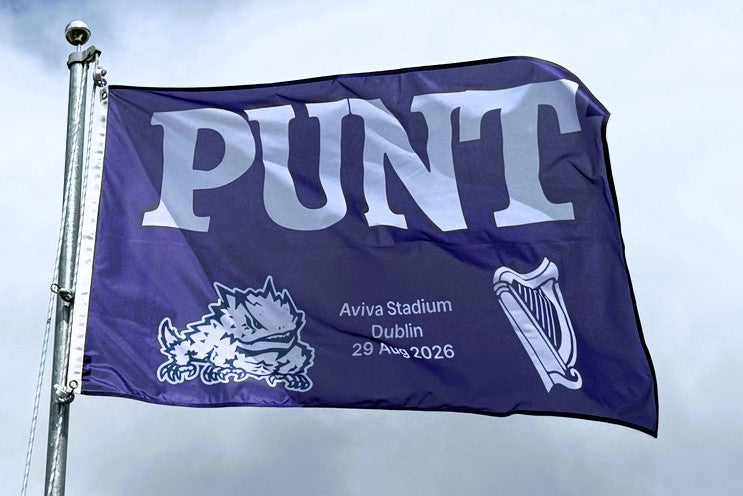 A purple flag on a silver flagpole featuring the word 'PUNT' in large white letters, with a white animal graphic, a harp symbol, and the text 'Aviva Stadium Dublin 29 Aug 2026', photographed outdoors against a cloudy sky.