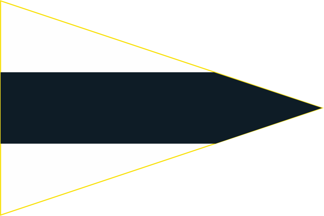 Nautical 3rd SUBSTITUTE Code Flag Fabric quality flags Flags