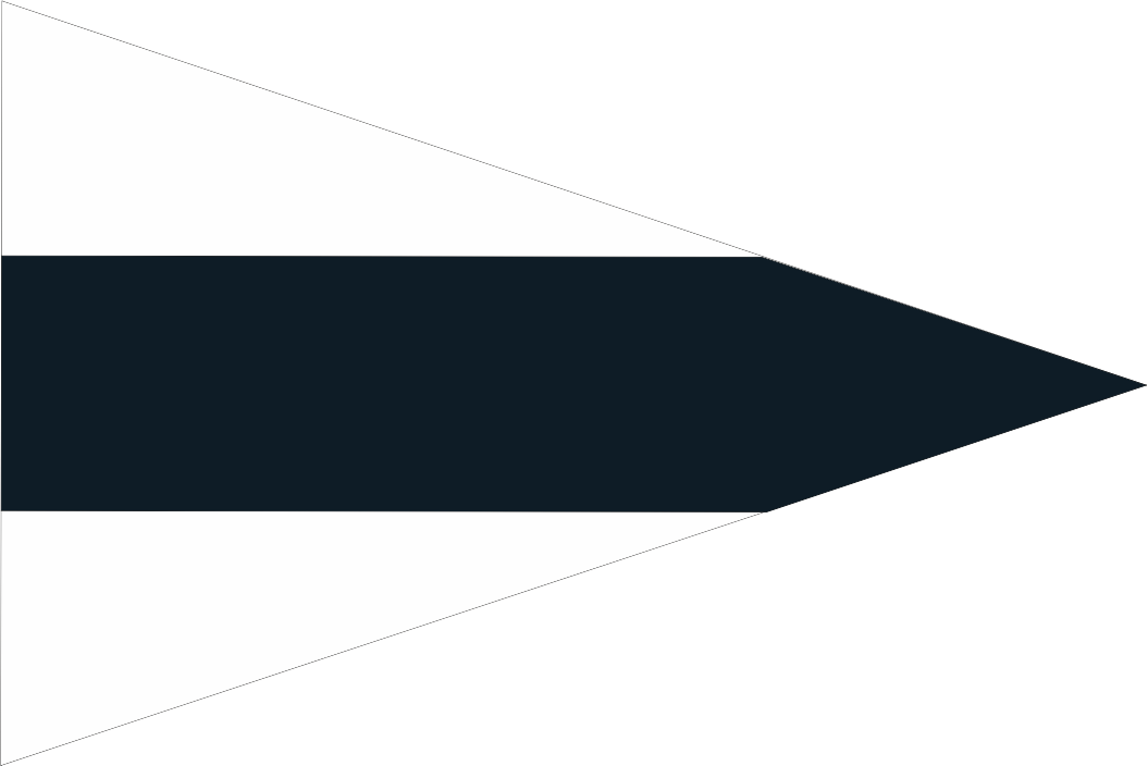 3rd SUBSTITUTE Code Flag