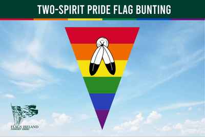 Two-Spirit Pride Flag Bunting against a blue sky with Flags Ireland logo.