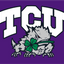 Texas Christian University TCU Clover Frog Flag