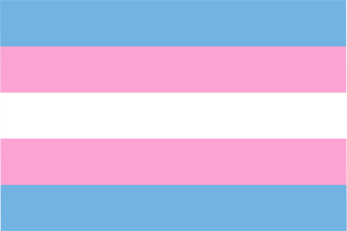 Transgender Pride Flag – High-Quality Irish-Made LGBTQ+ Flag | Flags ...