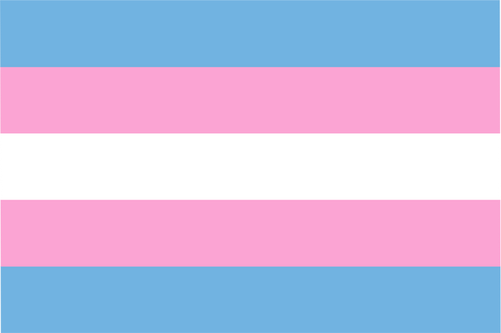 Transgender Pride Flag – High-Quality Irish-Made LGBTQ+ Flag | Flags ...
