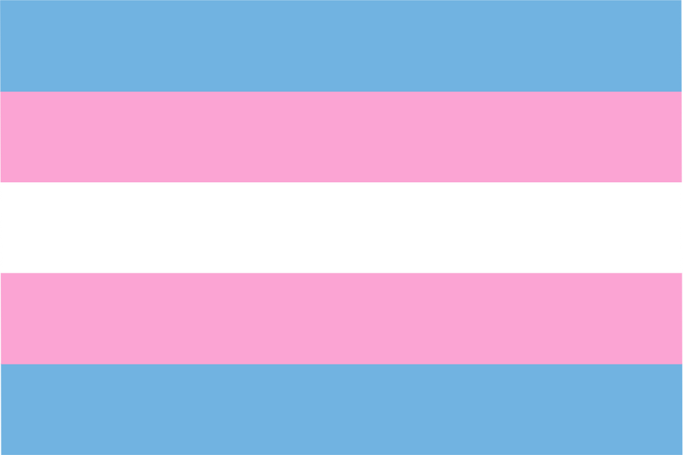 Transgender Pride Handwaver Flag – Flags Ireland Prospect Design