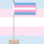 Transgender pride flag on a light blue and pink striped background