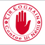 Tyrone GAA Crest White Flag