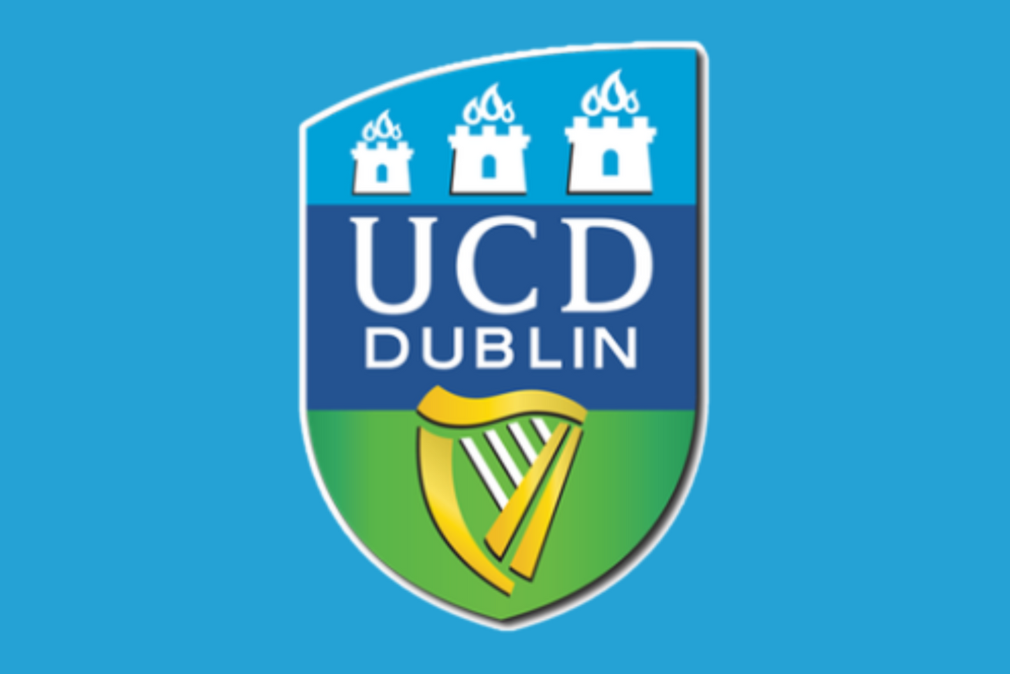 University College Dublin Football Club Flag