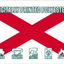 VICTOR Code Flag V