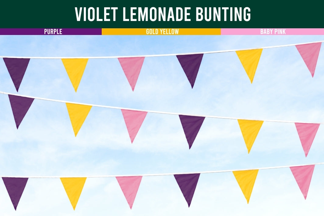 Violet lemonade bunting with purple, gold, yellow, and baby pink triangles on a blue background.