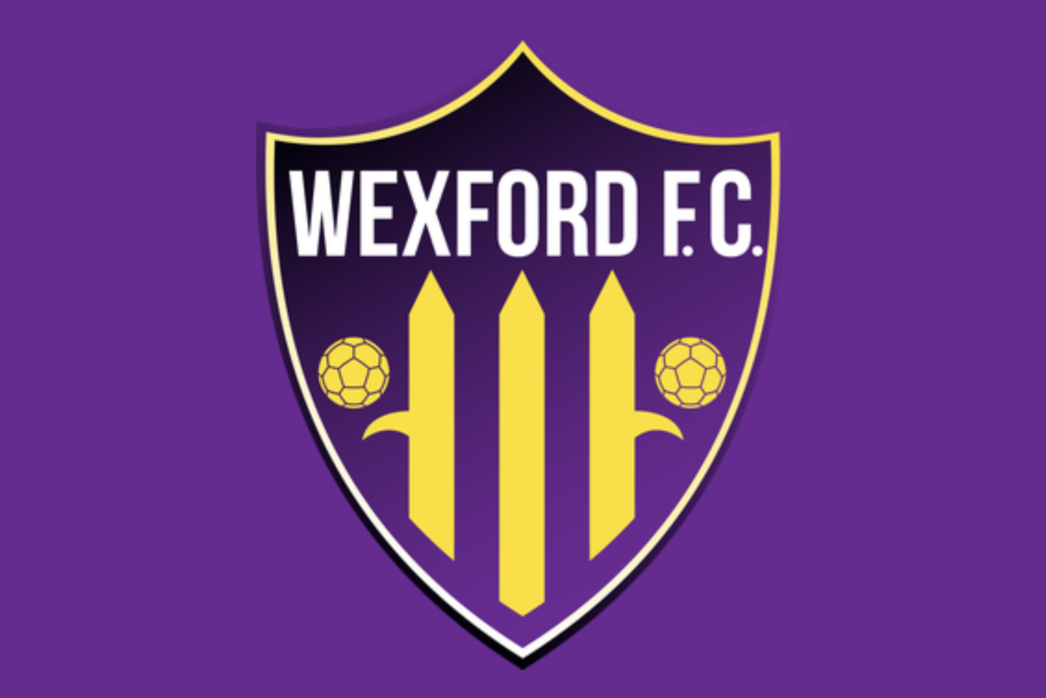 Wexford Football Club Flag – Flags Ireland Prospect Design