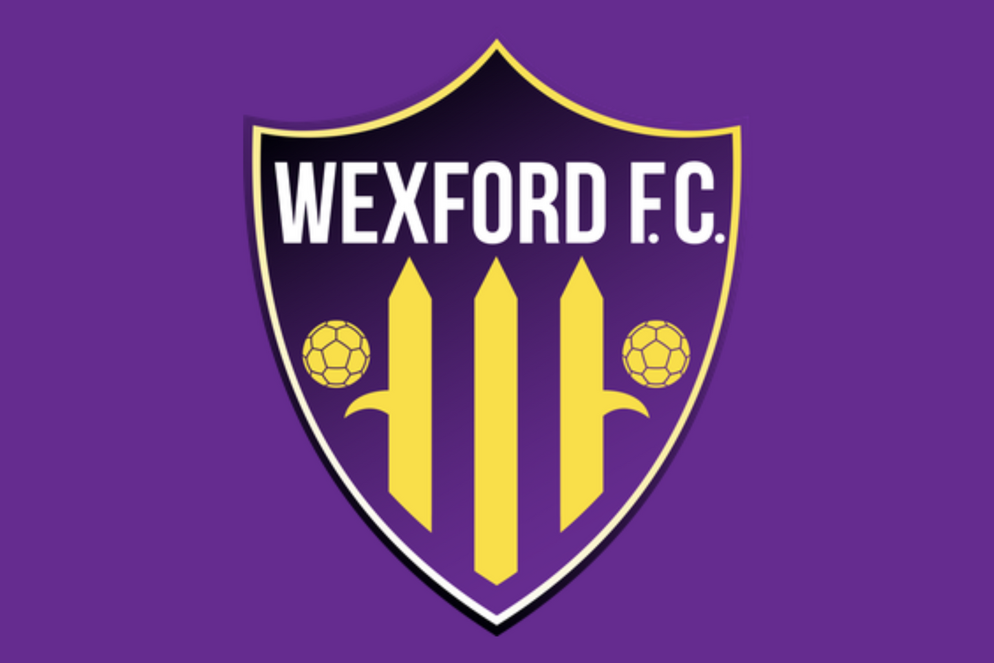 Wexford Football Club Flag