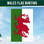 Estamenha da bandeira do País de Gales