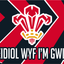 Wales-Rugby-Wappenflagge