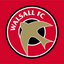 Walsall Football Club Flag