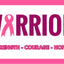 A graphic design featuring the word 'WARRIOR' in large magenta letters, with the 'W' stylized as a pink breast cancer ribbon. Below the main title, the words 'STRENGTH - COURAGE - HOPE' are written in pink. Breast Cancer Flag Banner.