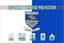 Waterford County Crest Flag