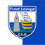 Waterford GAA Wappenflagge