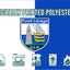 Waterford GAA Crest Flag