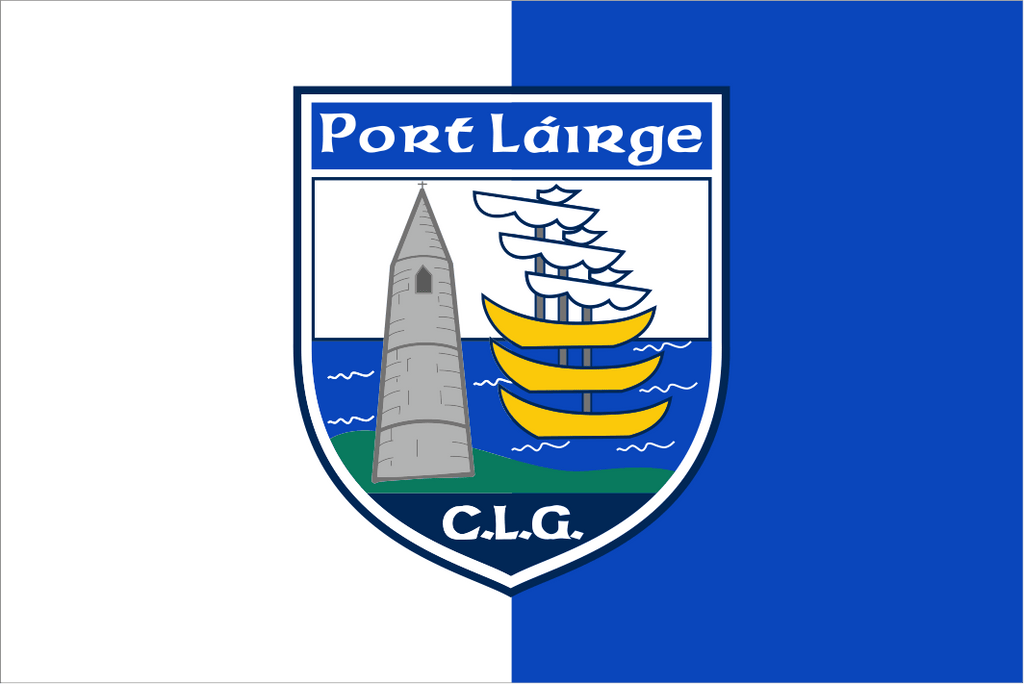 Waterford GAA Crest Flag – Flags Ireland Prospect Design