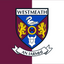 Westmeath County Crest Flag