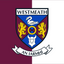 Westmeath County Crest Handwaver Flag