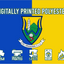 Wicklow GAA Crest Flag