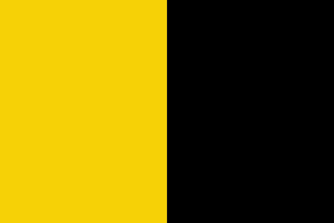 Yellow & Black Colour Crest Flag