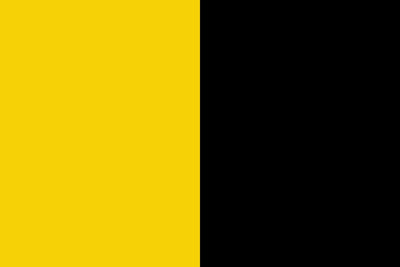 Yellow & Black Colour Crest Flag