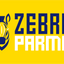 Zebre Parma Rugby Flag. Yellow blackground with a zebra