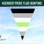 Agender Pride Flag Triangle Bunting against a blue sky