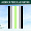 Agender pride flag bunting with a blue sky background and Flags Ireland logo.